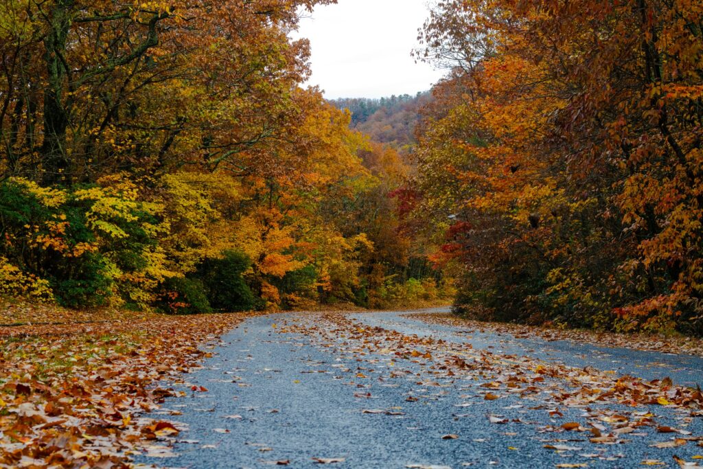 Great Smoky Mountain