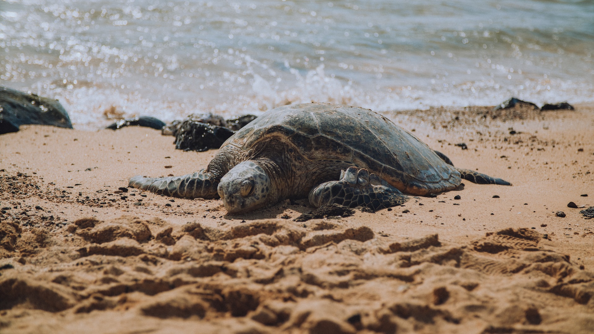 Must-see-in-Kauai